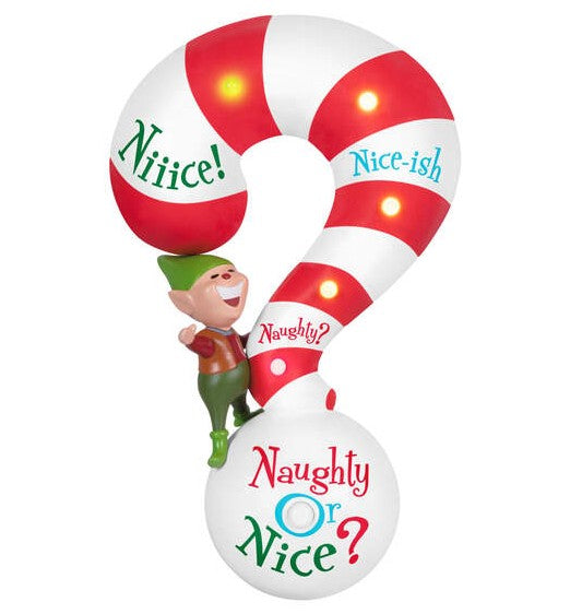 2024 Naughty or Nice?