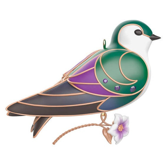 2024 Violet-Green Swallow, Beauty of Birds #20