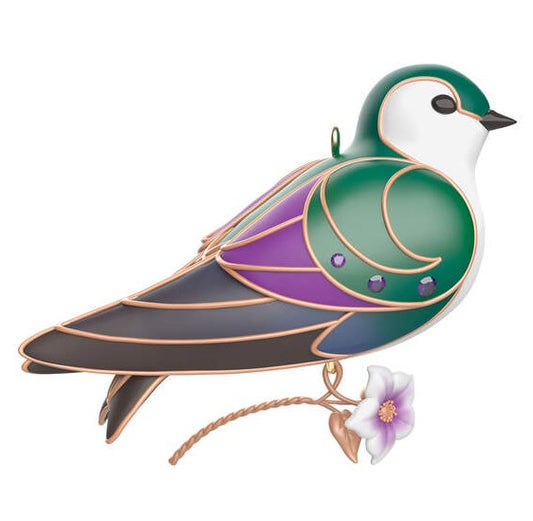 2024 Violet-Green Swallow, Beauty of Birds #20