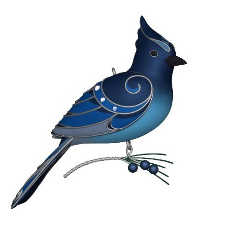 2023 Steller's Jay, Beauty of Birds #19