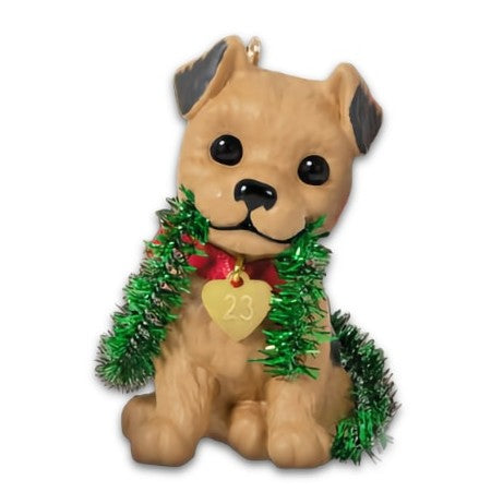 2023 Terrier, Puppy Love #33